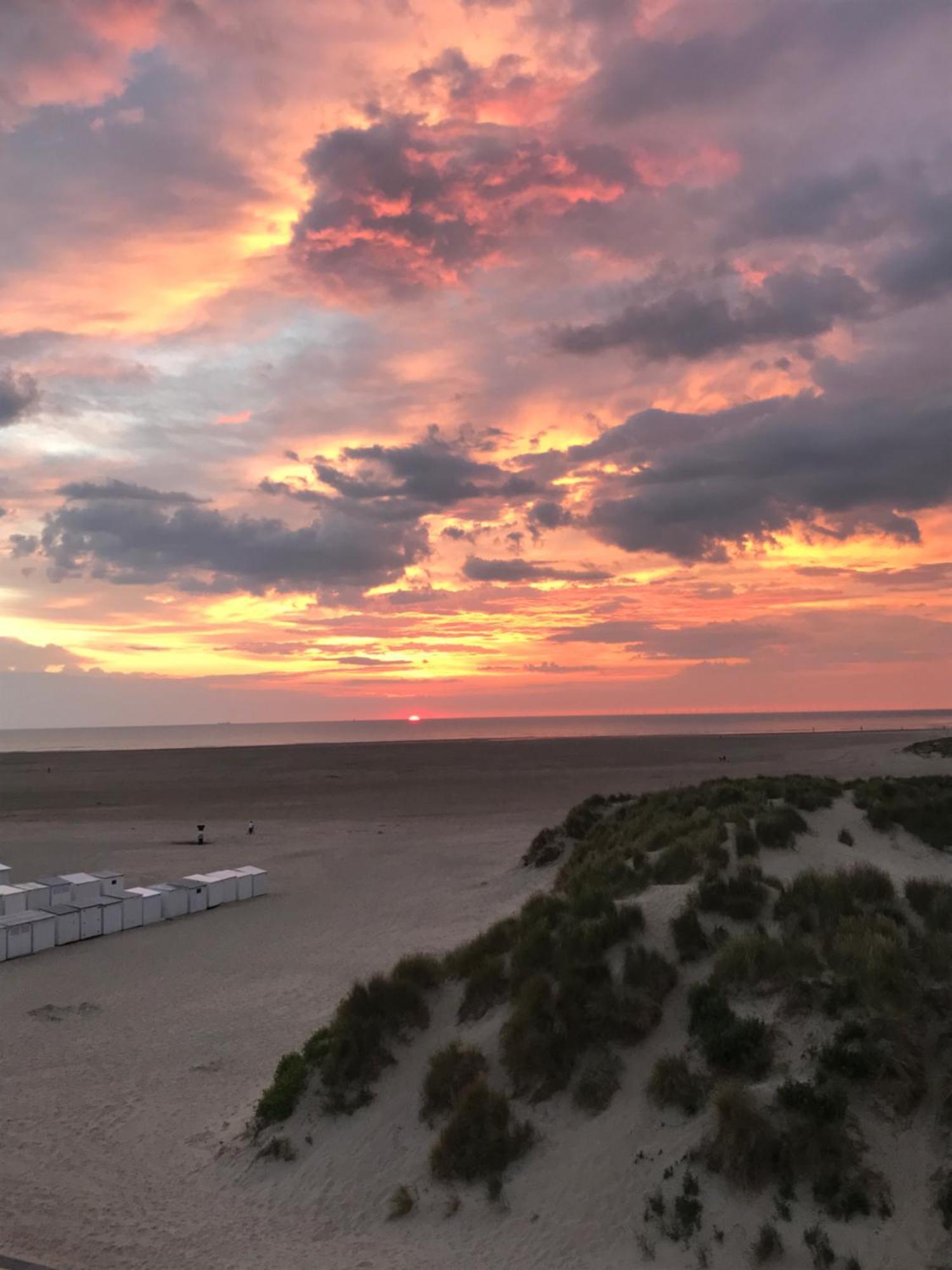 Dune Du Palace Brugge Eksteriør billede